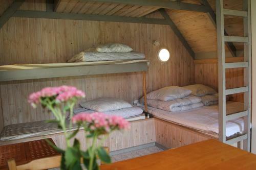 Hjarb�k Fjord Camping & Cottages