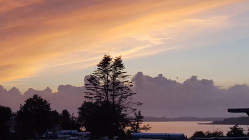 Hjarb�k Fjord Camping & Cottages