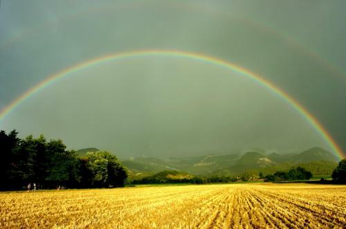 Apartamento Le Mas De Saint-ferr�ol Etage