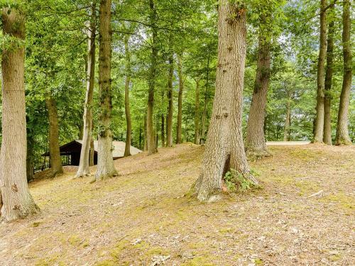 Hollies Lodge