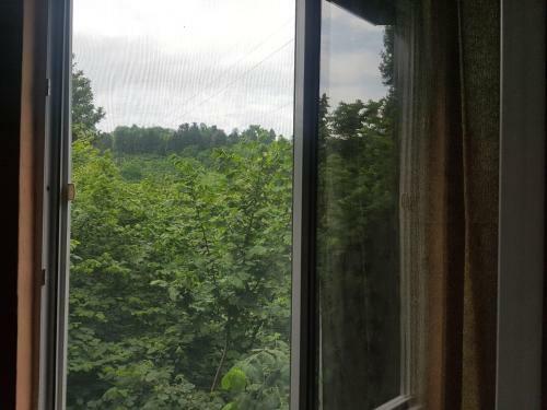 Hostal Cozy Guest House In Batumi