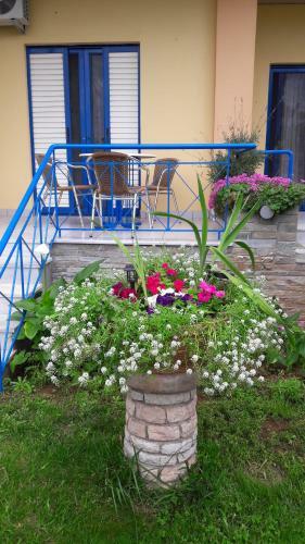 Apartamento Leader
