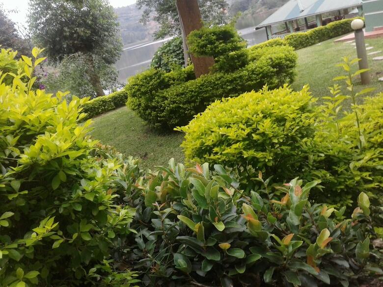 Hotel Bunyonyi Safaris Resort