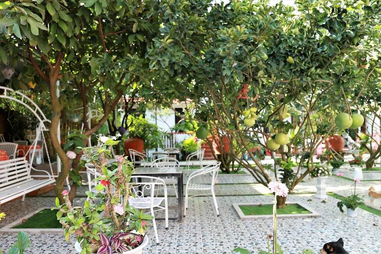 Hotel Red House Homestay
