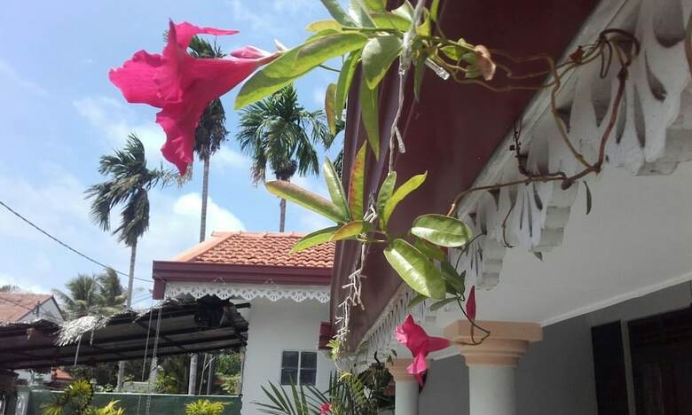 Hotel Alexandra Family Villa