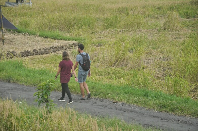 Hotel Tepi Sawah Lodge