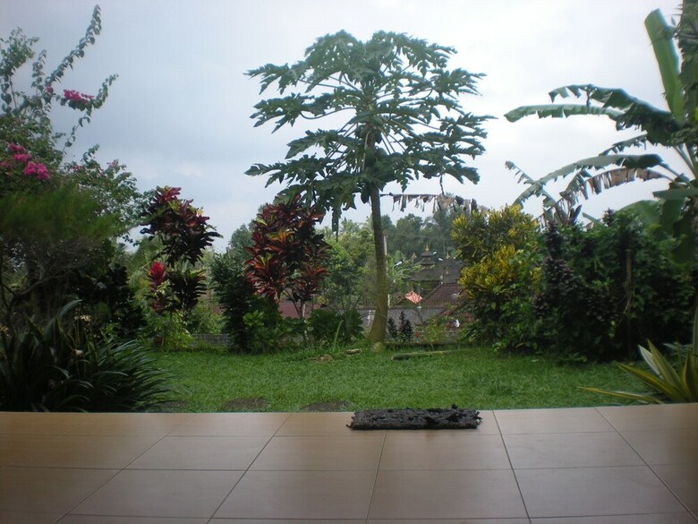 Hotel Tepi Sawah Lodge