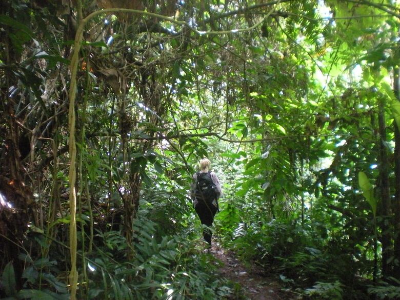 Hotel Tepi Sawah Lodge