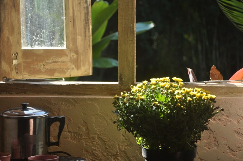 Hotel Tepi Sawah Lodge