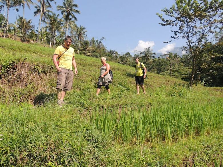 Hotel Tepi Sawah Lodge