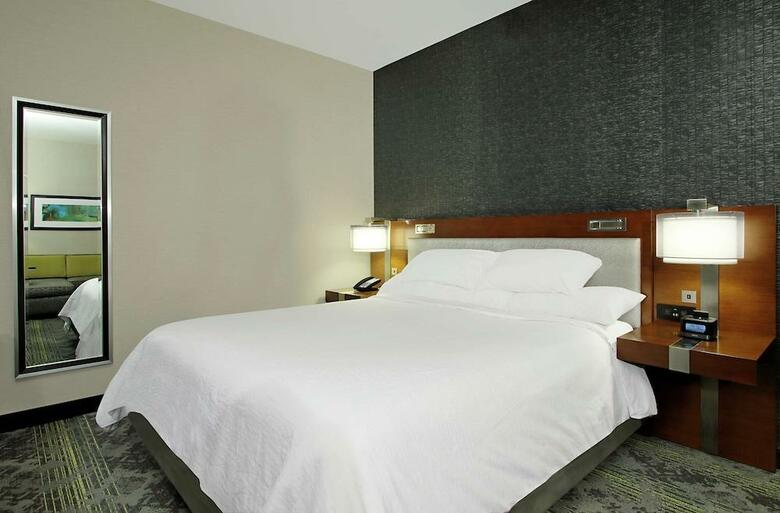 Hotel Embassy Suites By Hilton Pittsburgh Downtown