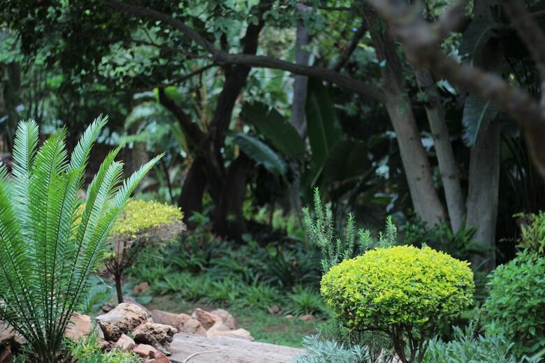Hotel El Cazador Guest House