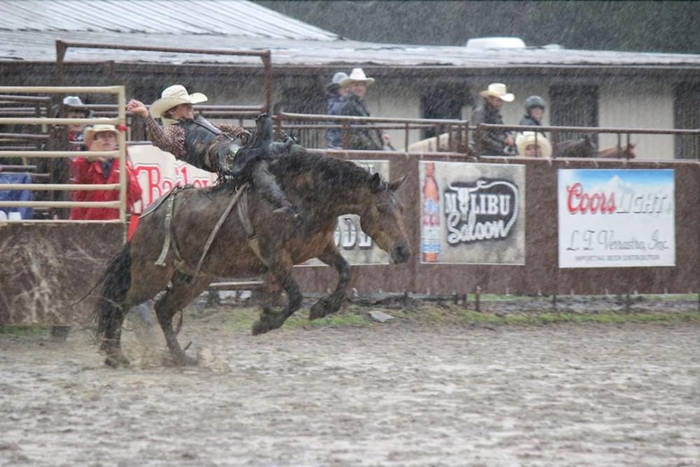 Agroturismo Malibu Dude Ranch