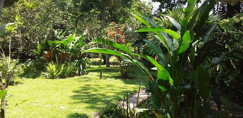 Hotel Playa Negra Guesthouse