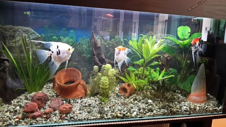 Garden Hotel Tabiano