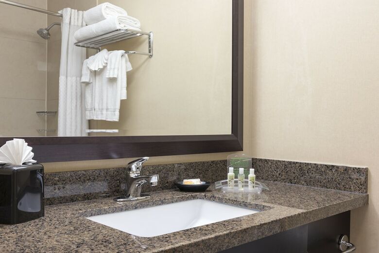 Hotel Holiday Inn Chicago - Elk Grove