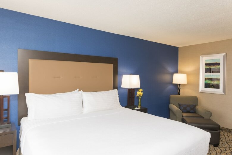 Hotel Holiday Inn Chicago - Elk Grove