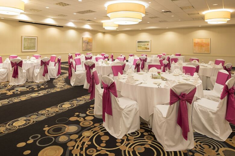Hotel Holiday Inn Chicago - Elk Grove