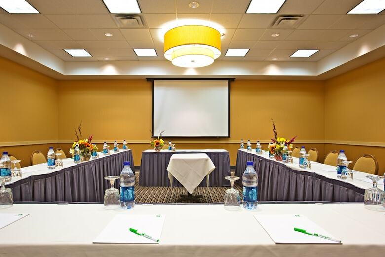 Hotel Holiday Inn Chicago - Elk Grove