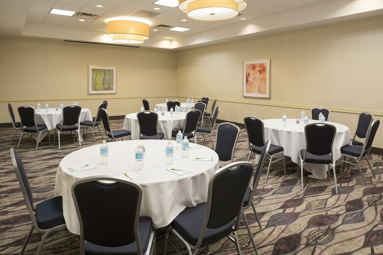 Hotel Holiday Inn Chicago - Elk Grove