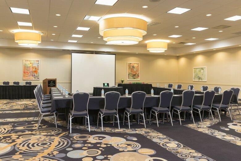 Hotel Holiday Inn Chicago - Elk Grove