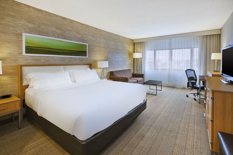 Hotel Holiday Inn Rapid City-rushmore Plaza