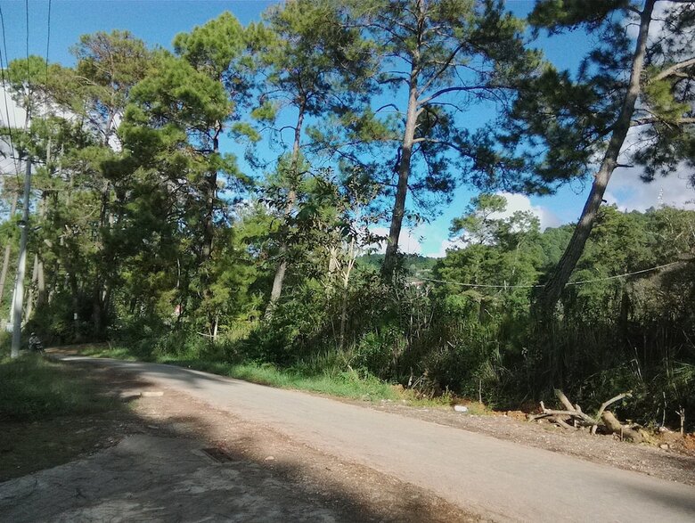 Hotel Hostel Roma Inn 2