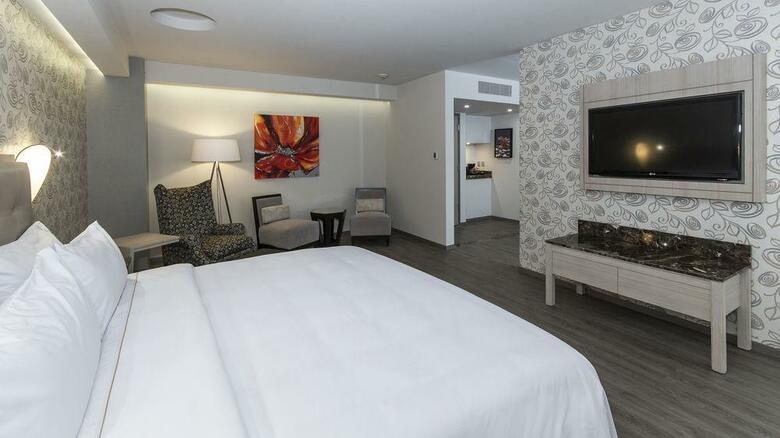 Hotel Holiday Inn Express Mexico - Toreo