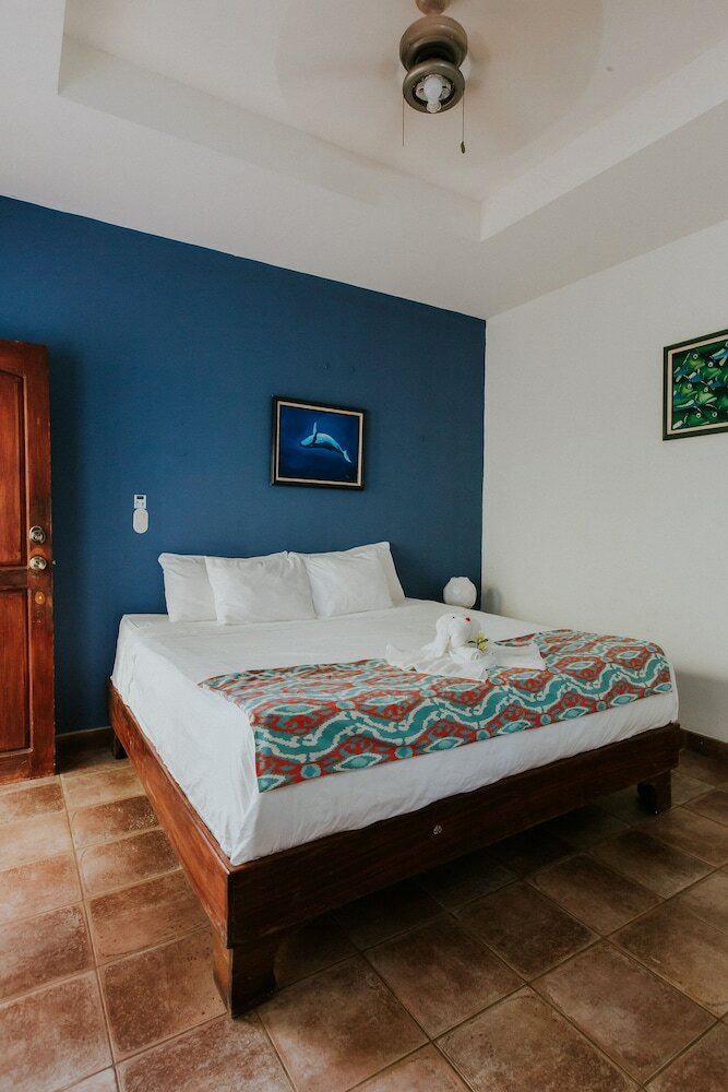 Hotel La Posada And Jungle