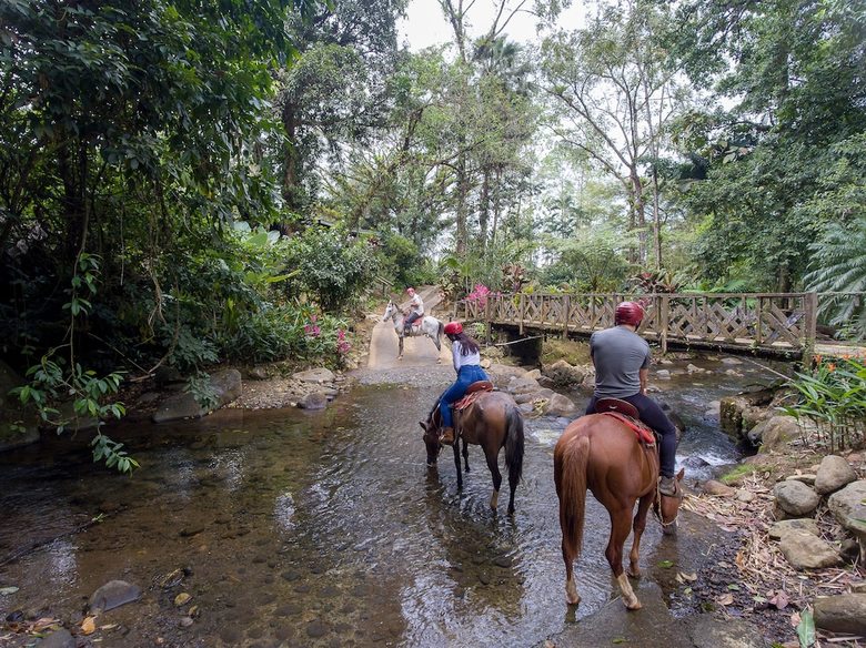 Posada Chachagua Rainforest Eco Lodge