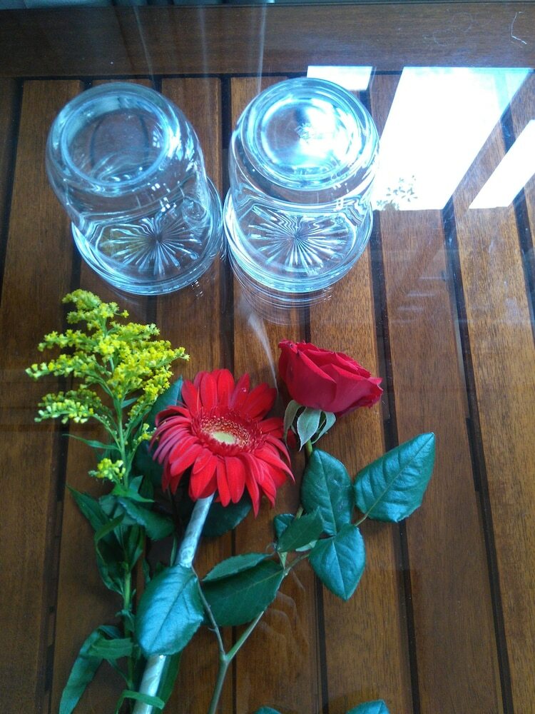 Hotel Green Coco Homestay Hoi An