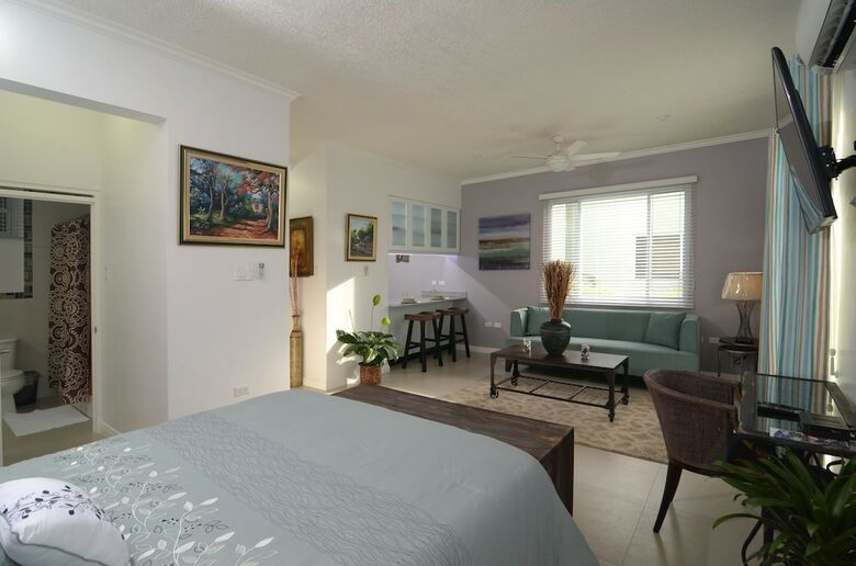 Kingsway New Kingston Guest Apartment II