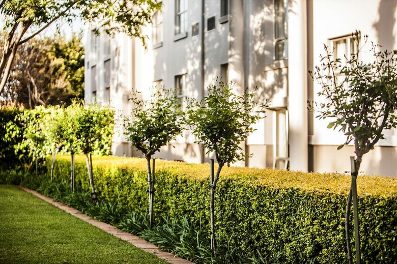 Hotel Garden Court Morningside