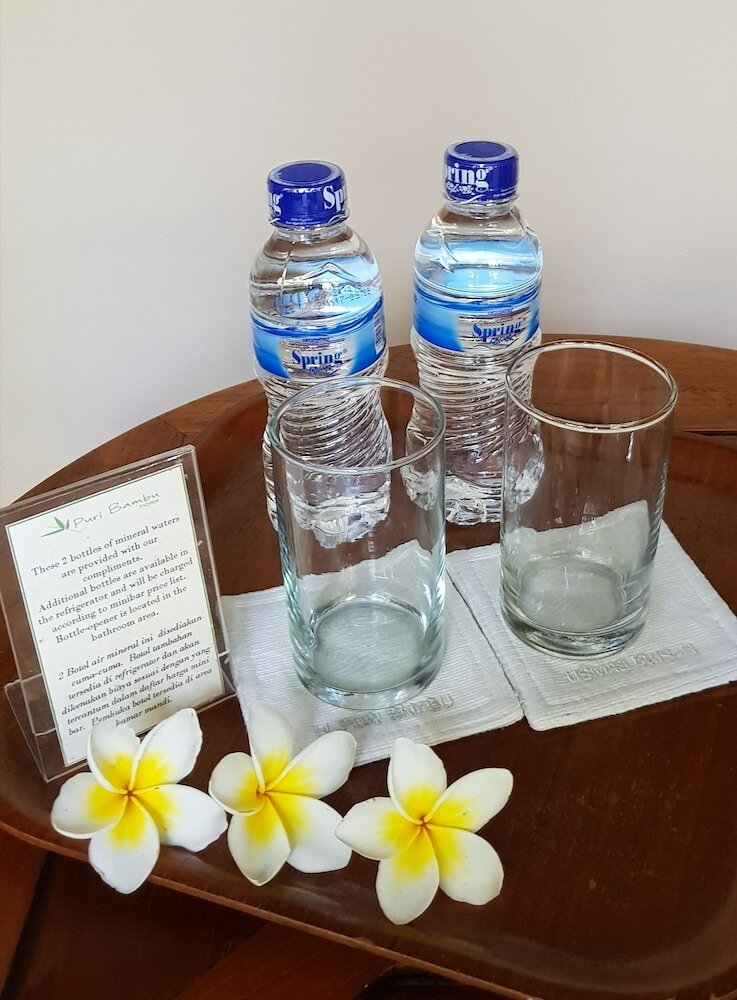 Hotel Puri Bambu