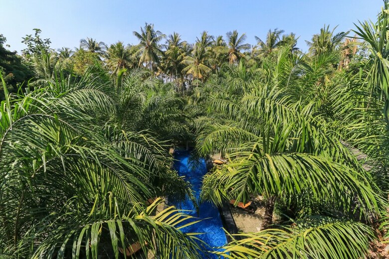 Hotel Coconut Boutique Resort