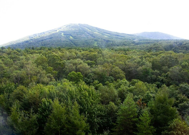 Hotel Appi Hills Shirakaba No Mori