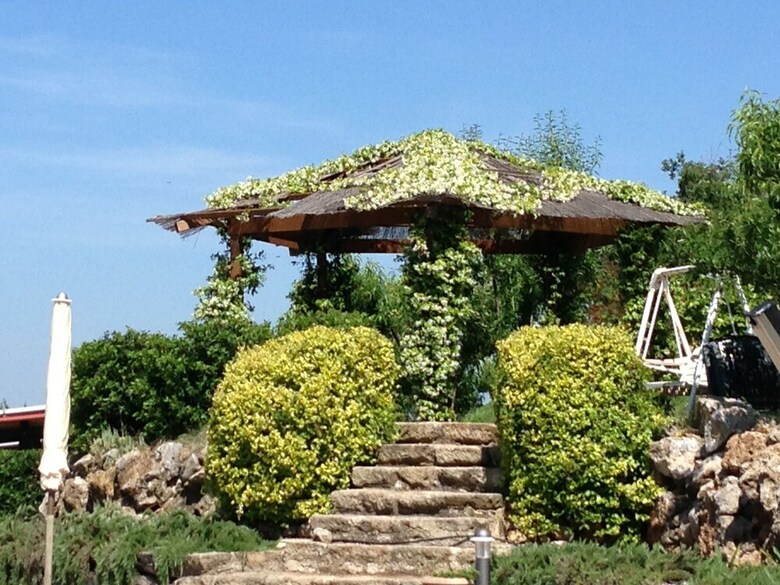 Agroturismo Agriturismo Bio Il Quarto