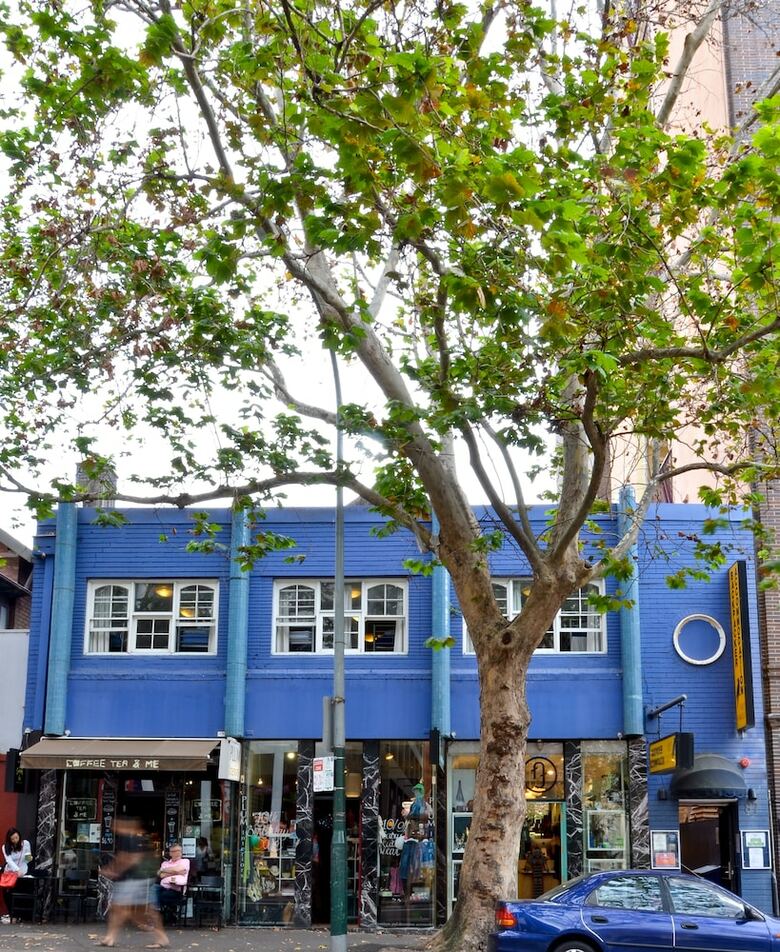 Hostal Blue Parrot Backpackers