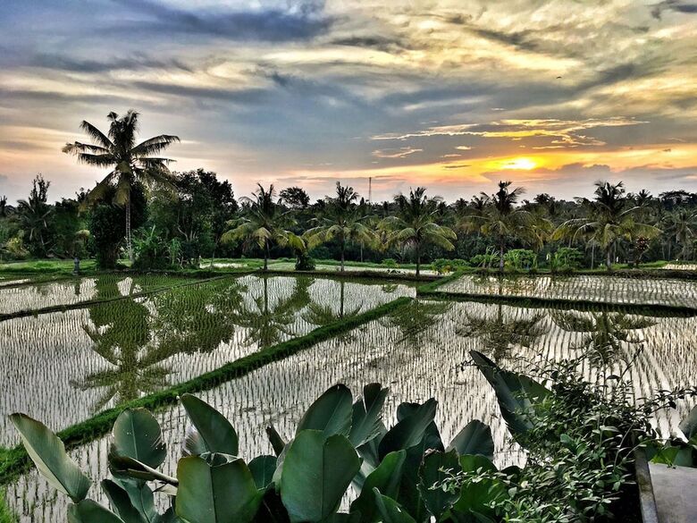 Hotel Bisma Cottages Ubud