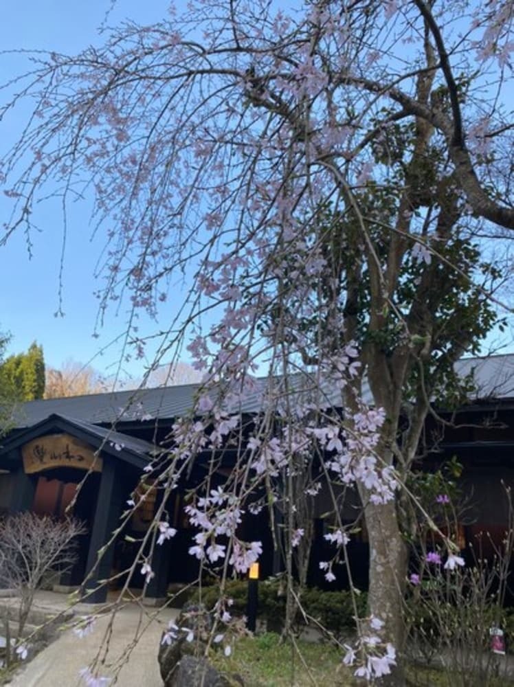 Yufuin Ryoan Wazanhou