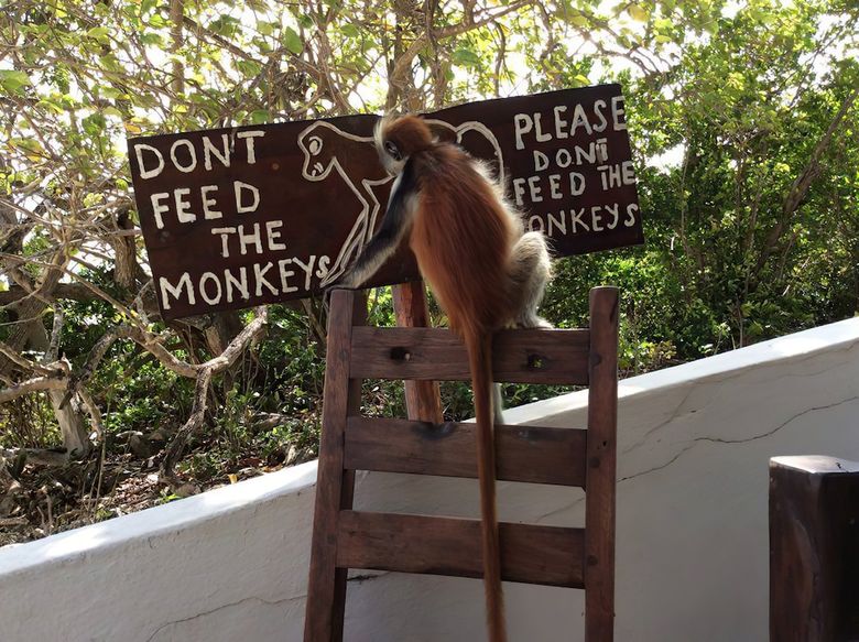 Posada Red Monkey Lodge