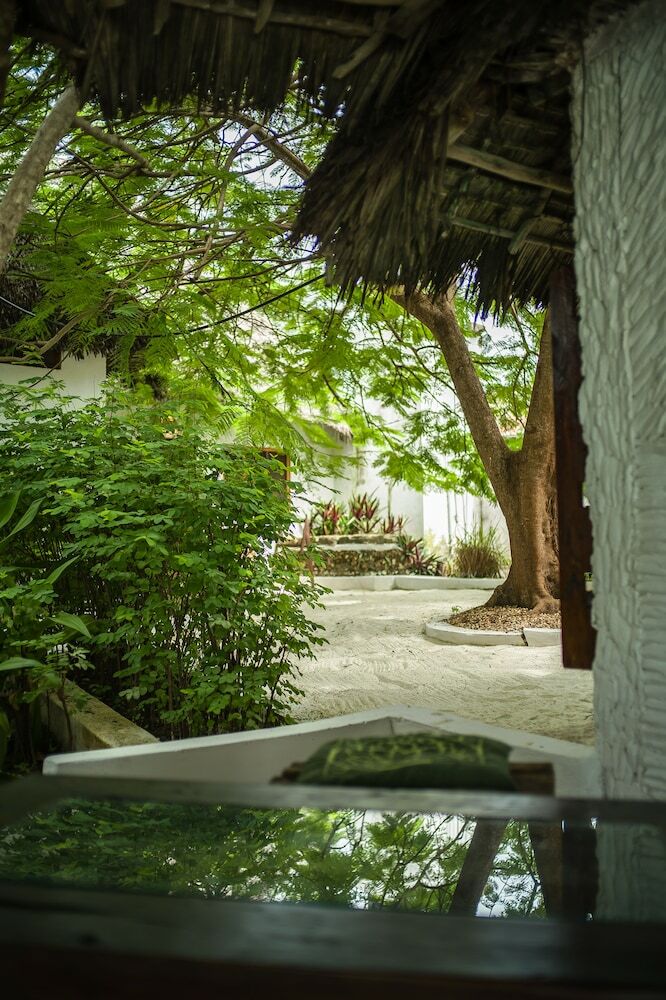 Posada Red Monkey Lodge