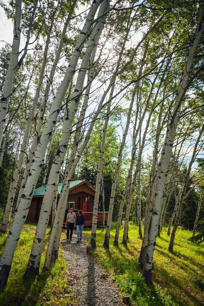 Bed & Breakfast Montana Hill Guest Ranch