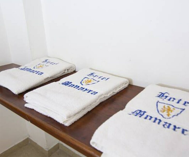 Hotel Monarca
