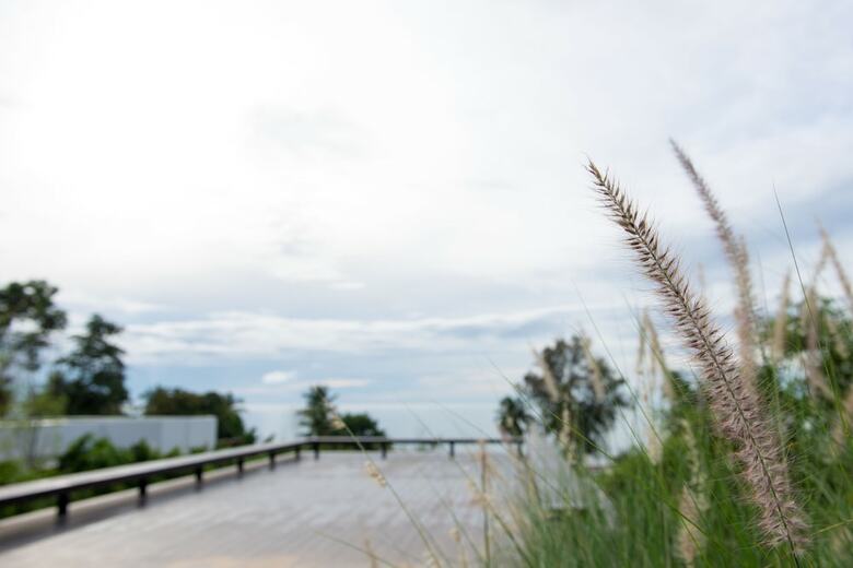 Hotel Seanery Beach Resort
