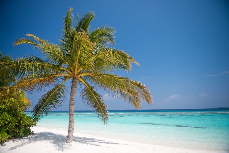 Apartamento Biyadhoo Island Resort