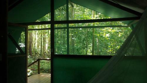 Lodge Daintree Crocodylus Village