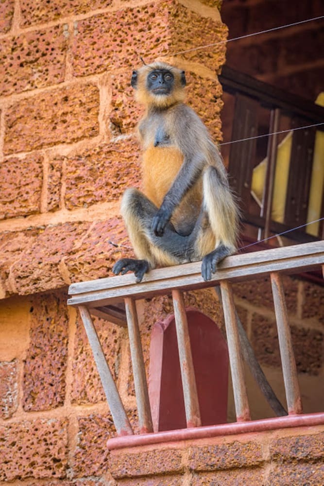 Apartamento Swaswara- Cgh Earth