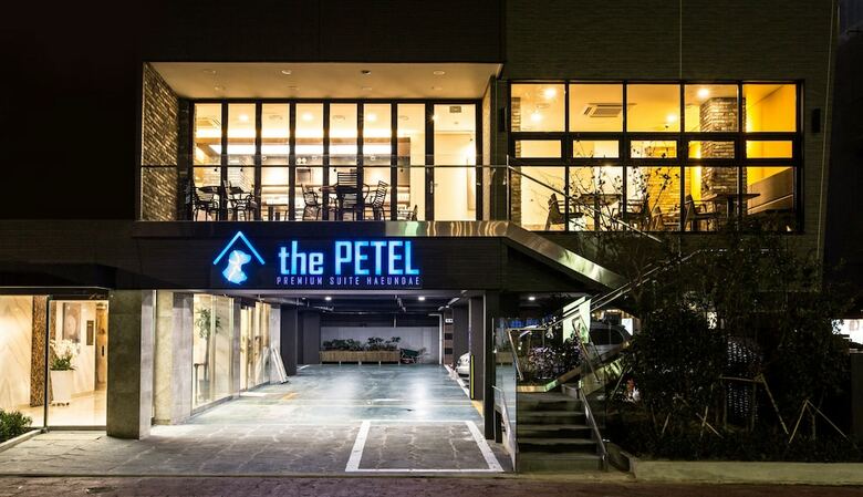 Hotel Sleep With Your Own Pet Only - The Petel