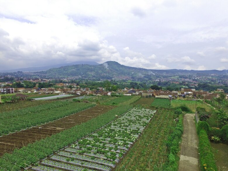 Villa Vila Bunga Merah Gelatik